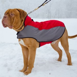 Накидка шлейка из нейлона для бордоского дога «Raincoat Cape»